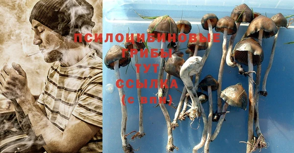 хмурый Алзамай