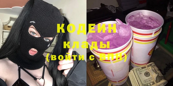 хмурый Алзамай
