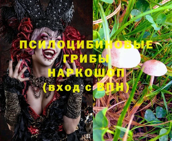 хмурый Алзамай