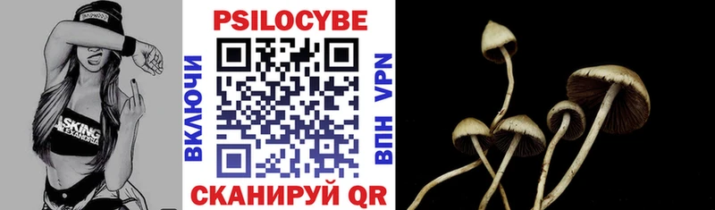 Галлюциногенные грибы Magic Shrooms  где купить наркоту  Инсар 